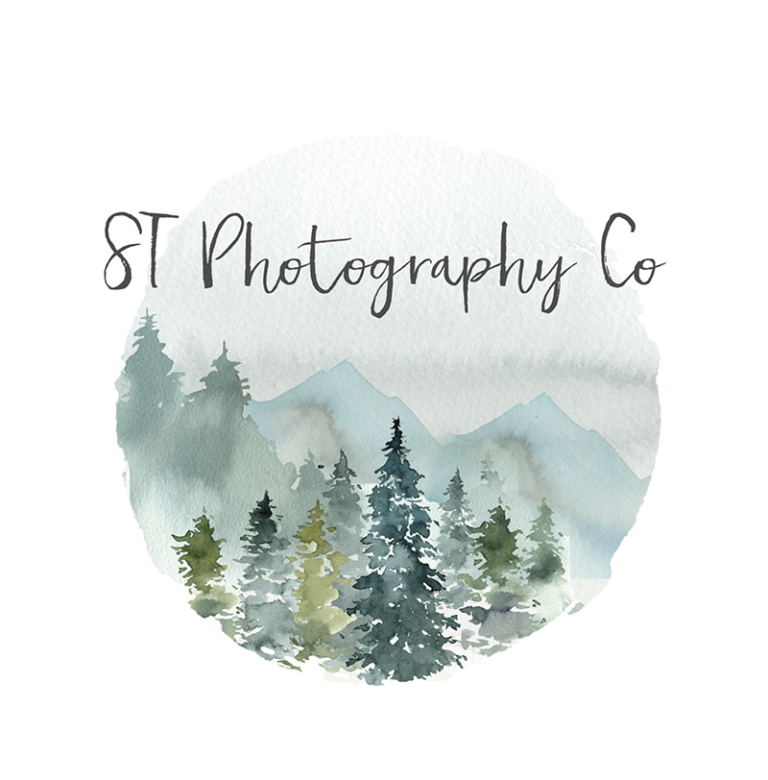 icon ST 3 768x780