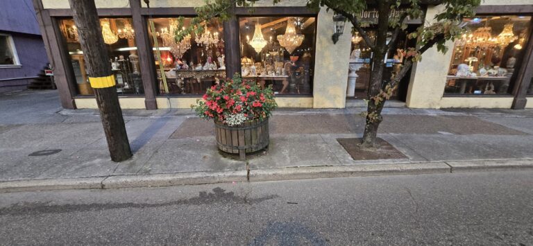 Commercial Diry 768x355