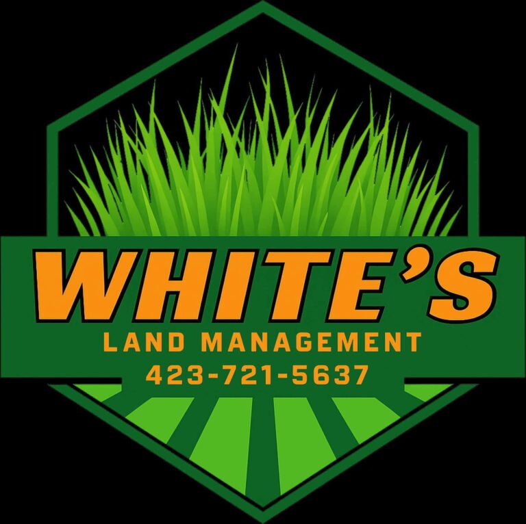 logo 10 768x766