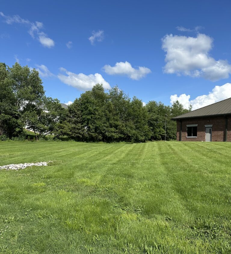Yard 5 768x846